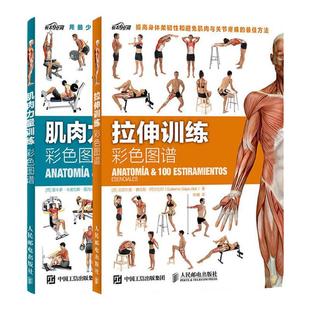 【官方旗舰店】肌肉力量训练+拉伸训练彩色图谱 健身书籍练肌肉 肌肉训练图谱塑造书 无器械健身教程 健身教练套装 人民邮电出版社