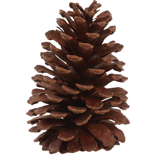 圣诞松果装饰松塔天然幼儿园摆件手工diy材料挂件松果球干花花环