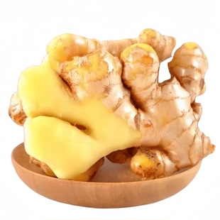 云南小黄姜老姜生姜新鲜黄姜土姜现挖子姜嫩姜鲜姜农家自种包邮价