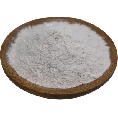 大蒜粉烧烤调料腌肉食用500g蒜蓉