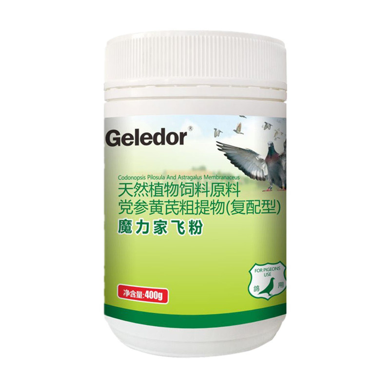 鸽子药格莱德家飞粉不爱飞飞不高