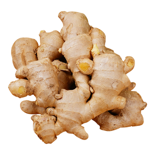 山东大姜老黄姜优质生姜月子姜风干姜现挖鲜姜新鲜大黄姜包邮种植