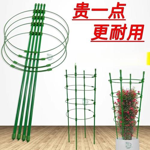 爬藤架子铁线莲花架月季花支架花盆栽植物攀爬架室内固定花支撑杆