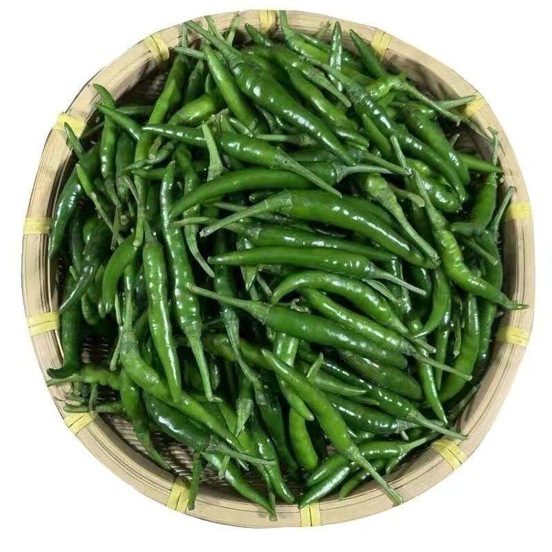 现摘现发巨辣特辣广西新鲜小米椒特辣青辣椒散装炒菜食用农产品