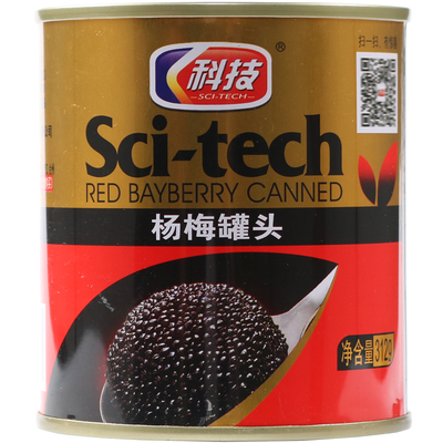 黄岩科技杨梅罐头甜点烘焙商用