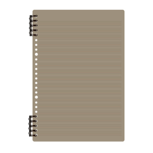 活页英语本B5笔记本子可拆卸不硌手英文本初高中生加厚高颜值单词本小学生英语专用b5练习本四线三格活页本