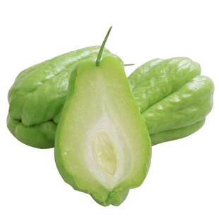 佛手瓜种子带土种瓜苗高产种苗四季种籽蔬菜秧苗春季苗子菜种新鲜