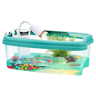 小乌龟观赏缸活物家用客厅中华草龟珍珠巴西花龟小型幼龟苗耐活体