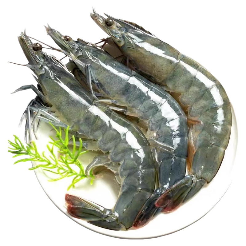 鲜活超大新鲜冷冻青虾水产