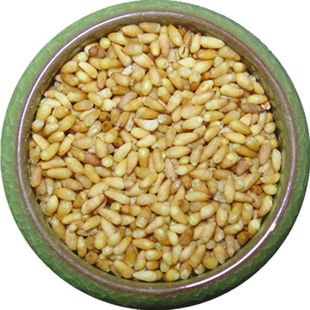 新货野生柏子仁山东柏实正品柏籽仁柏仁侧柏树种籽仁中药材酸枣仁