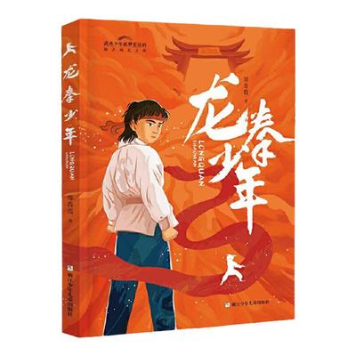 【正版】龙拳少年武术追