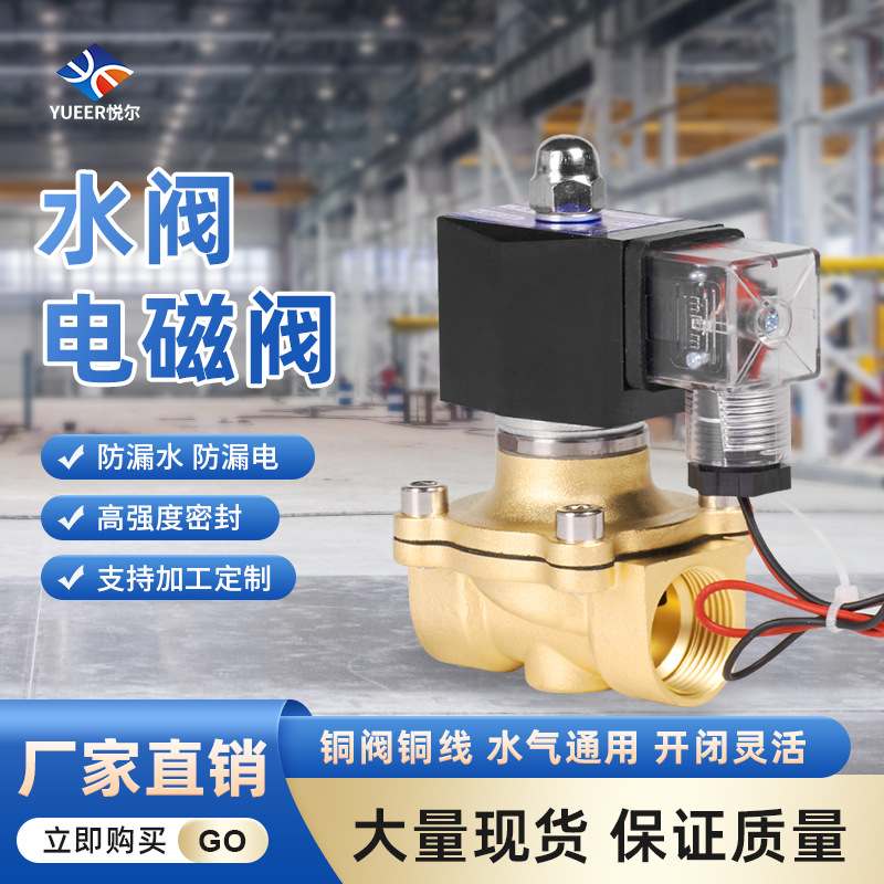 2w-160-15黄铜管道控制阀220V24V放水电磁阀阀水阀常闭气阀电子