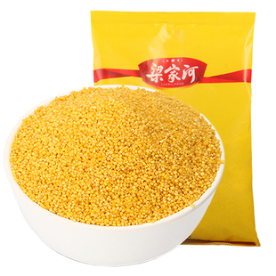 梁家河黄小米新米黄小米香糯粘稠农家小米月子小米粥陕北小米500g