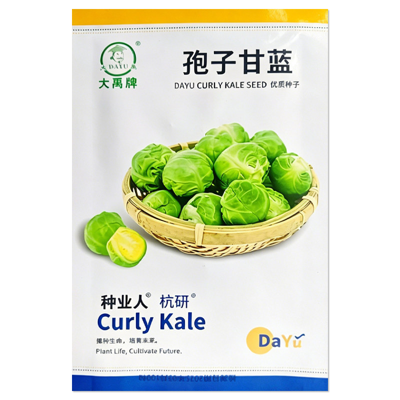 孢子甘蓝种子蔬菜种子