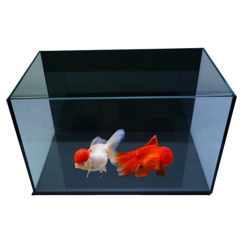 黑背鱼缸客厅小型家用超白黑玻缸桌面水族箱养鱼水草缸生态缸