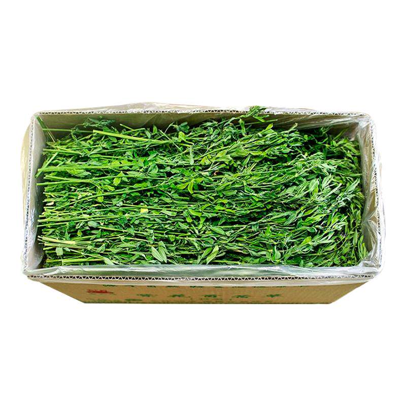 2025烘干！苜蓿草兔子专用草