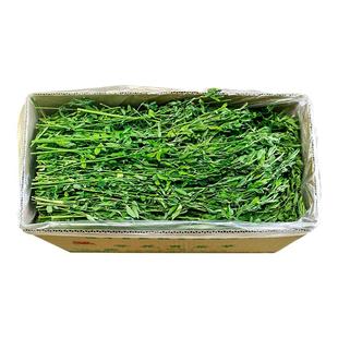 烘干苜蓿草兔子专用新鲜食用草饲料兔粮龙猫幼提摩西草牧草北提段