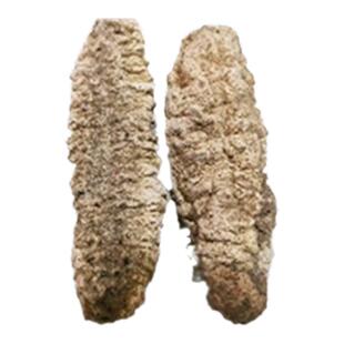 摩洛哥参爆款白刺深海淡干刺秃参西非刺参500g包邮干货海参非即食