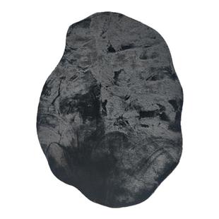 地毯客厅异形沙发茶几毯仿兔毛高级不规则家用防滑卧室垫黑色地毯