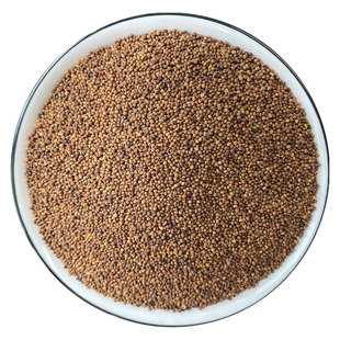 深山菟丝子500g兔丝子非特级正品旗舰店菟丝子沙苑子五味子泡水