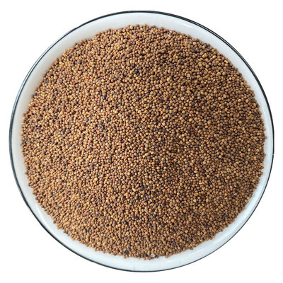 菟丝子正品无硫搭五味子