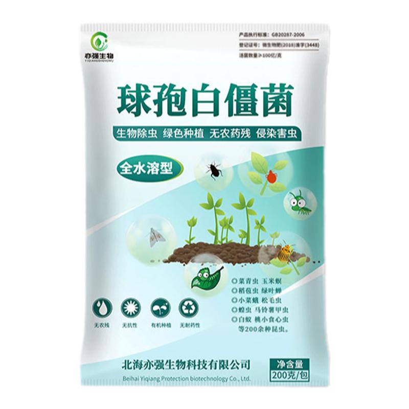 球孢白僵菌100亿/克全水溶性粉剂松毛虫蛴螬菜青虫微生物菌虫害