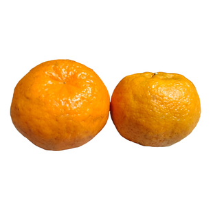 湘西椪柑橘子新鲜采摘柑橘甜水果高山芦柑果园直发桔子碰柑整箱