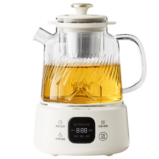 小熊全玻璃养生壶炖煮一体烧水壶纯玻璃恒温养生热水壶煮茶壶新款