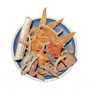 海宝泡酒材料1000克中老年人滋补养生泡酒料男女疯湿十全大补药酒