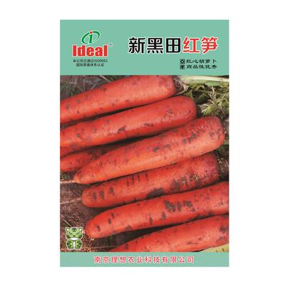三红七寸胡萝卜种子新黑田