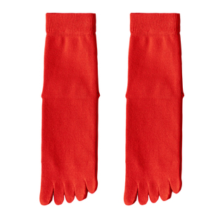 本命年五指红色袜子男女款秋冬季纯棉2026马年结婚情侣一对分趾袜