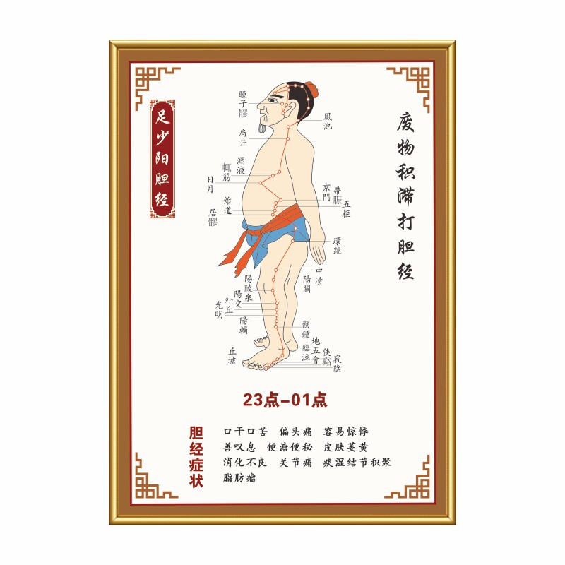 十二经络图中医养生十四经络推拿针灸人体穴位防水高清画KT板海报