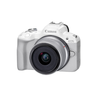 正品Canon佳能R50微单相机佳能eos r50高清人像单反数码相机旅游