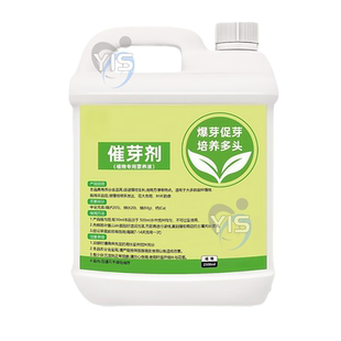 老桩催芽剂花卉营养液促芽僵苗快速发新芽防黄叶生根催芽绿植通用