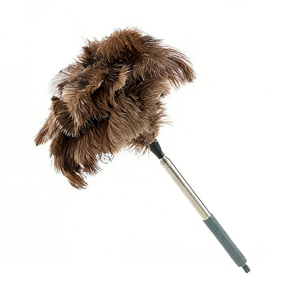 与西鸵鸟毛掸子可伸缩防静电