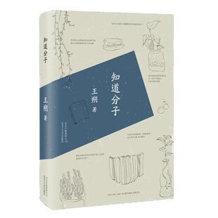新华正版现货 知道分子 王朔作品 随笔集中国现当代文学 与看上去很美 致女儿书 我是你爸爸 作者 中国现当代随笔散文畅销书籍