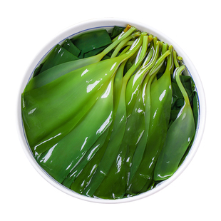 盐渍海带苗新鲜小海带嫩芽荣成特产凉拌非特级干货凉拌火锅食材