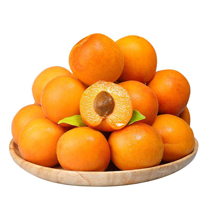 【精选品质】现摘陕西大黄杏子！