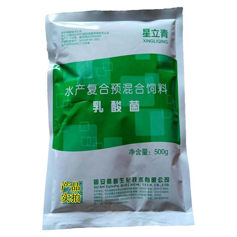 桑普乳酸菌菌粉水产养殖用乳酸菌菌种需要扩培的乳酸菌改善水环境