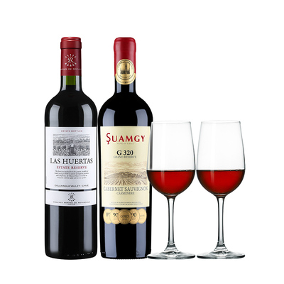 拉菲花园珍藏圣芝G320干红组合