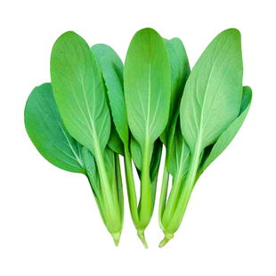 春季蔬菜种子种籽籽种番茄黄瓜辣椒西瓜种孑适合春天菜种各种菜子