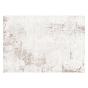 加厚地毯客厅奶油风2025新款免洗可擦免打理轻奢高级毛绒家用地垫