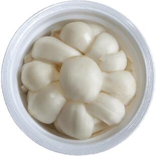 【航空包邮】甘肃兰州新鲜食用甜百合片碗装九年生精选百合大箱