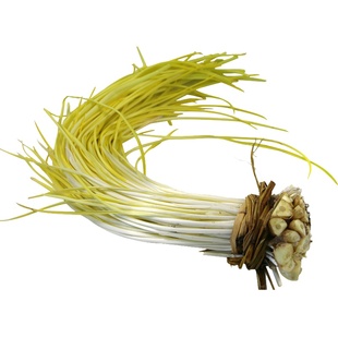 北京密云 鲜嫩蒜黄香味浓郁 农家种植自然熟 新鲜蔬菜400g 韭黄
