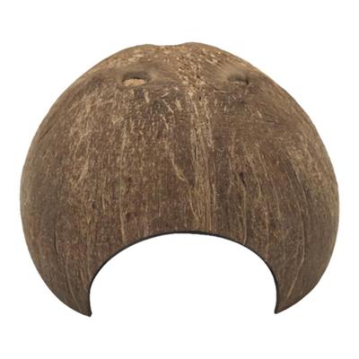 天然守宫蜘蛛蛇仓鼠蜈蚣躲避洞