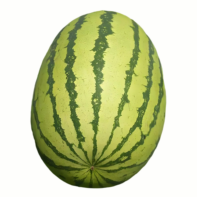 懒汉王西瓜种子水果种子