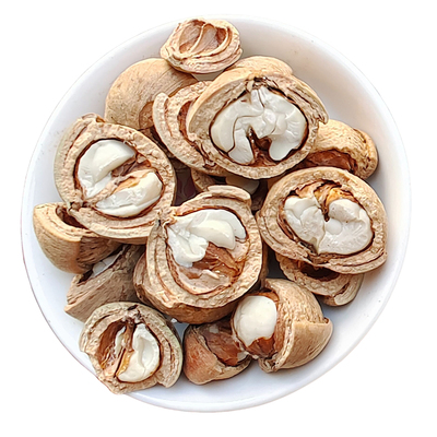 野生风流果石头果天竺粒龟头果