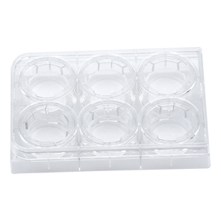 KIRGEN科进 6孔12孔24孔0.4umPET聚酯膜细胞小室transwell培养板