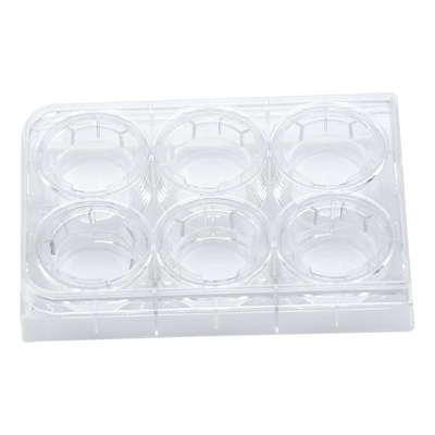 kirgenPET膜细胞小室培养板