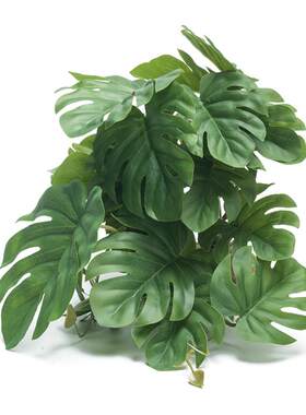 爬宠造景仿真植物爬虫饲养箱装饰